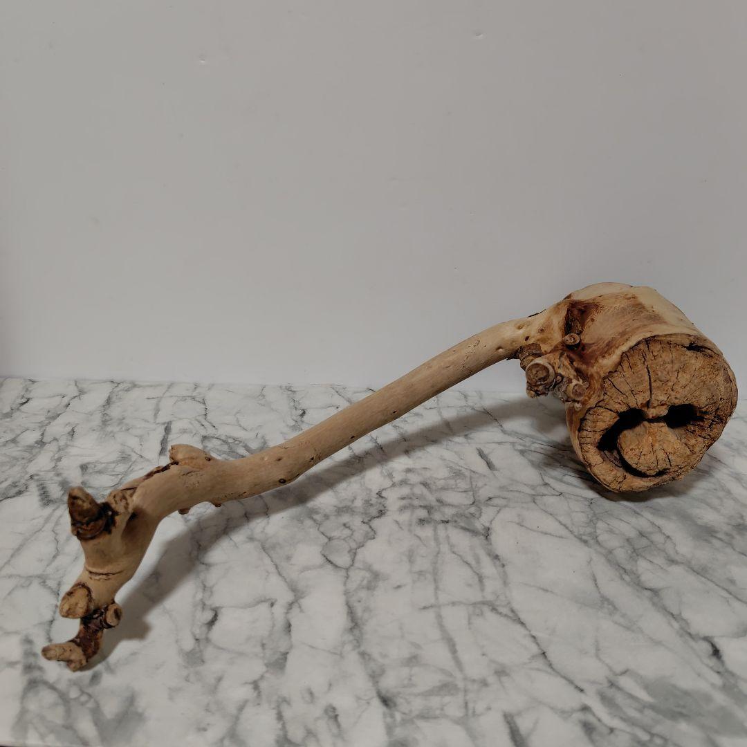 アク抜き済み流木【814】セール