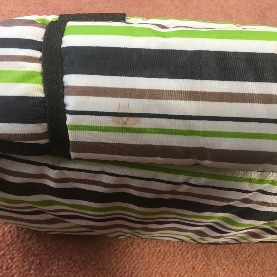 10弦　民族楽器　チャランゴ ケース付属 民族楽器木製 ケース付き