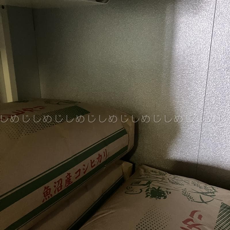 魚沼産コシヒカリ　令和7年産　白米　10キロ　米農家直送　送料無料①