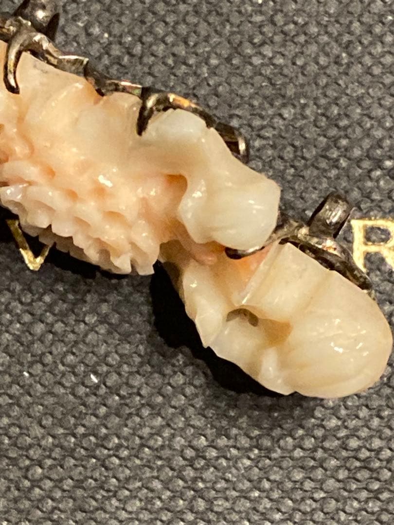 【激レア】本珊瑚　帯留　希少