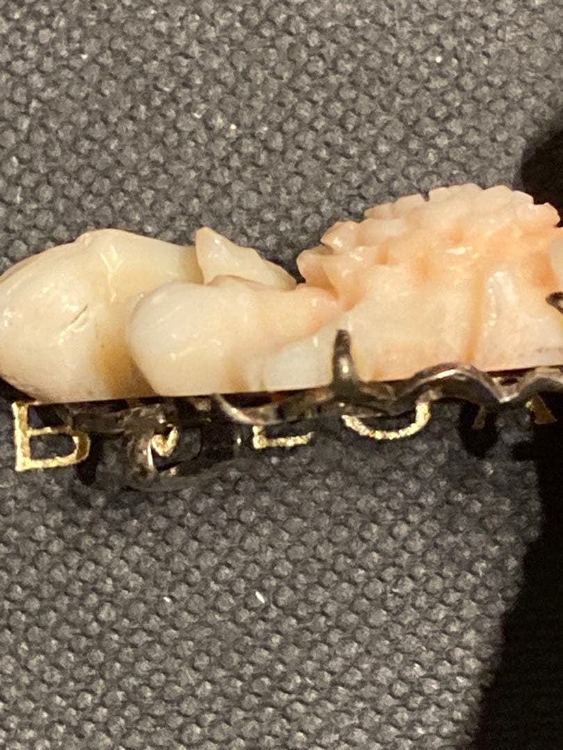 【激レア】本珊瑚　帯留　希少