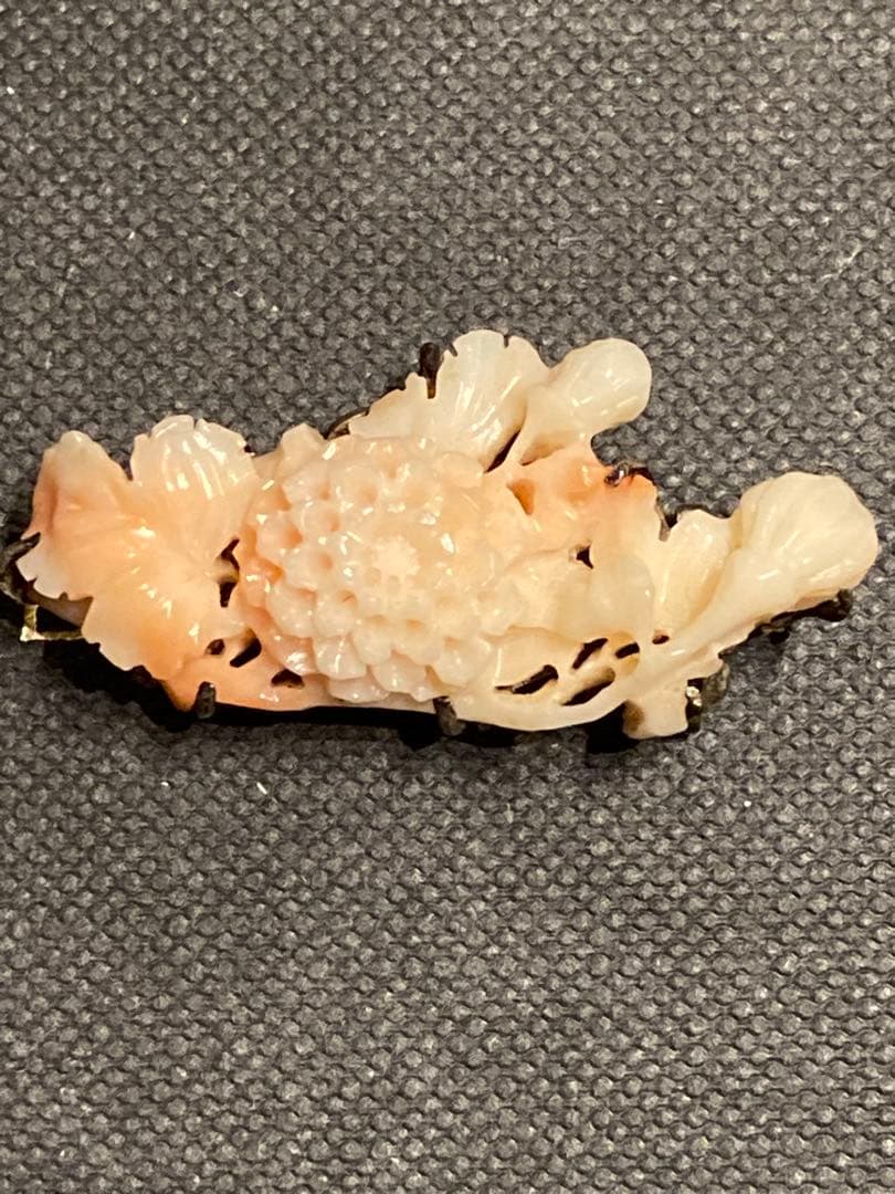 【激レア】本珊瑚　帯留　希少