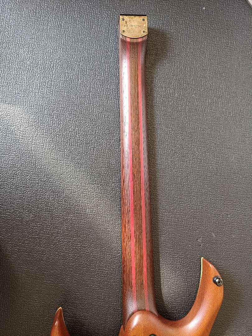 ギター Mayones Hydra