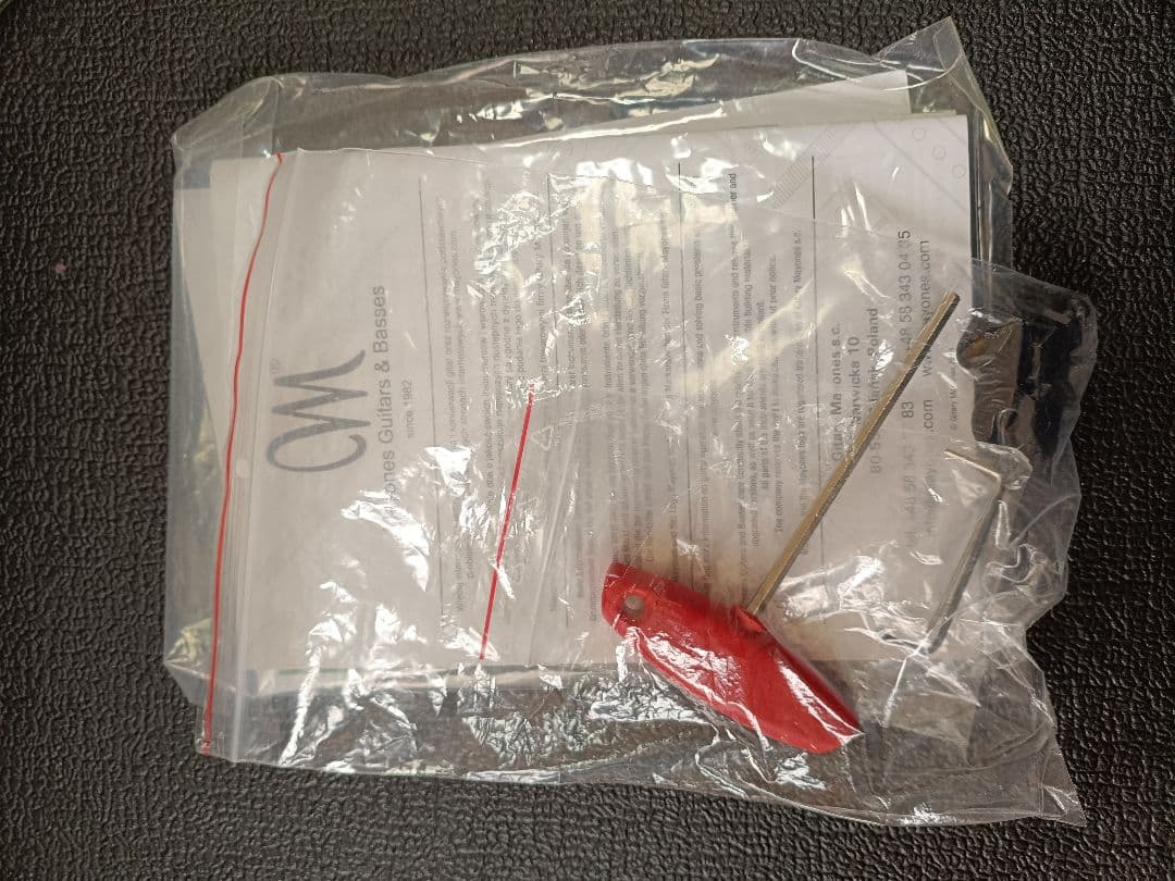 ギター Mayones Hydra