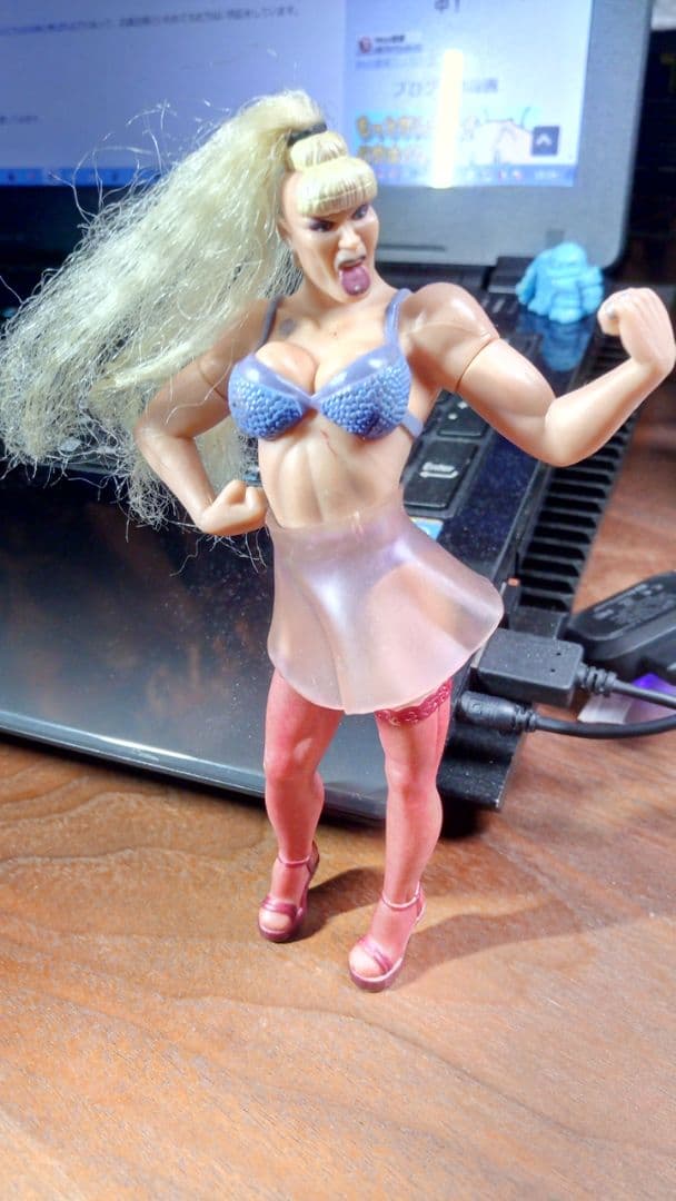 ルナ・バション　フィギュア　WWE　WWF　プロレス
