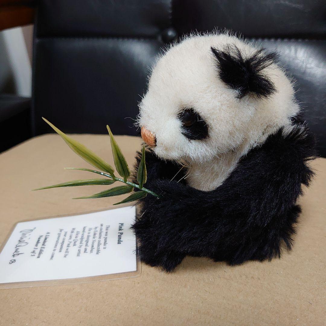 【製作者サイン色紙付き】テディベア パンダ 5体限定 エスコール ノンバス