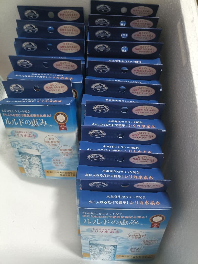 エコロインターナショナル ルルドの恵み シリカ水素水 水素水 美容 まとめ売り