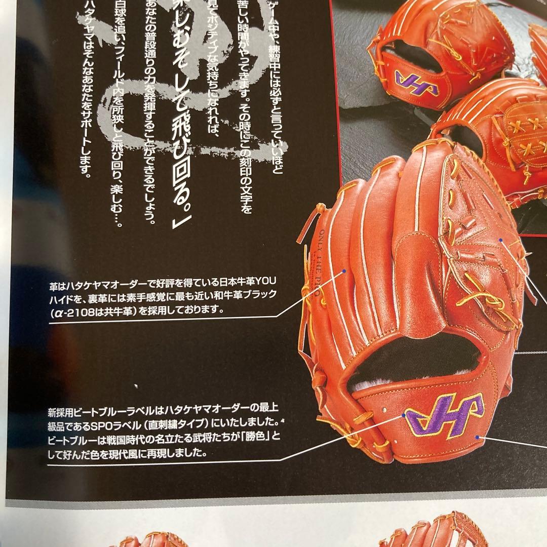 エポライズ硬式　内野　大人用