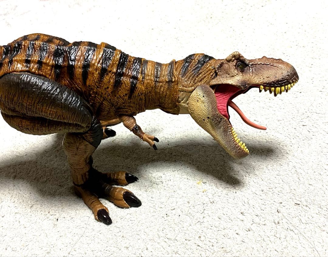 ハモンドコレクション　ティラノサウルス マテル