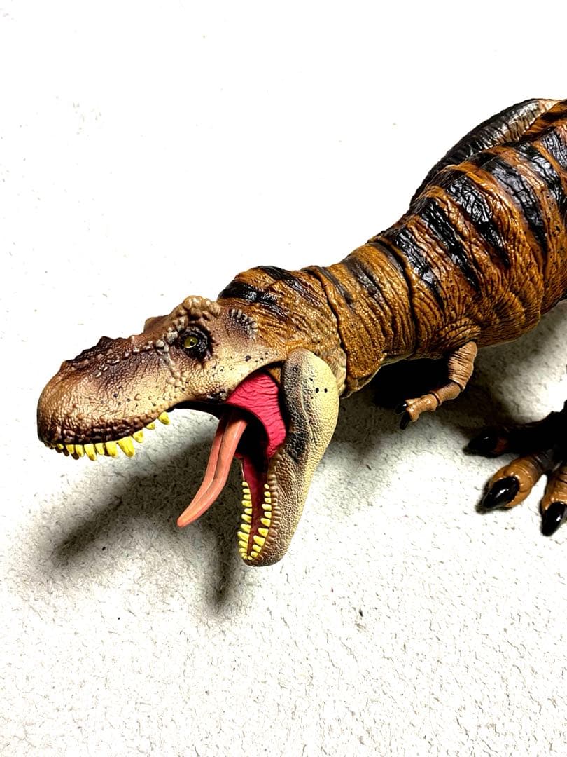 ハモンドコレクション　ティラノサウルス マテル