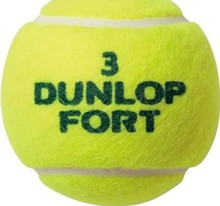 DUNLOPダンロップFORT硬式テニスボール2個入30缶計60球