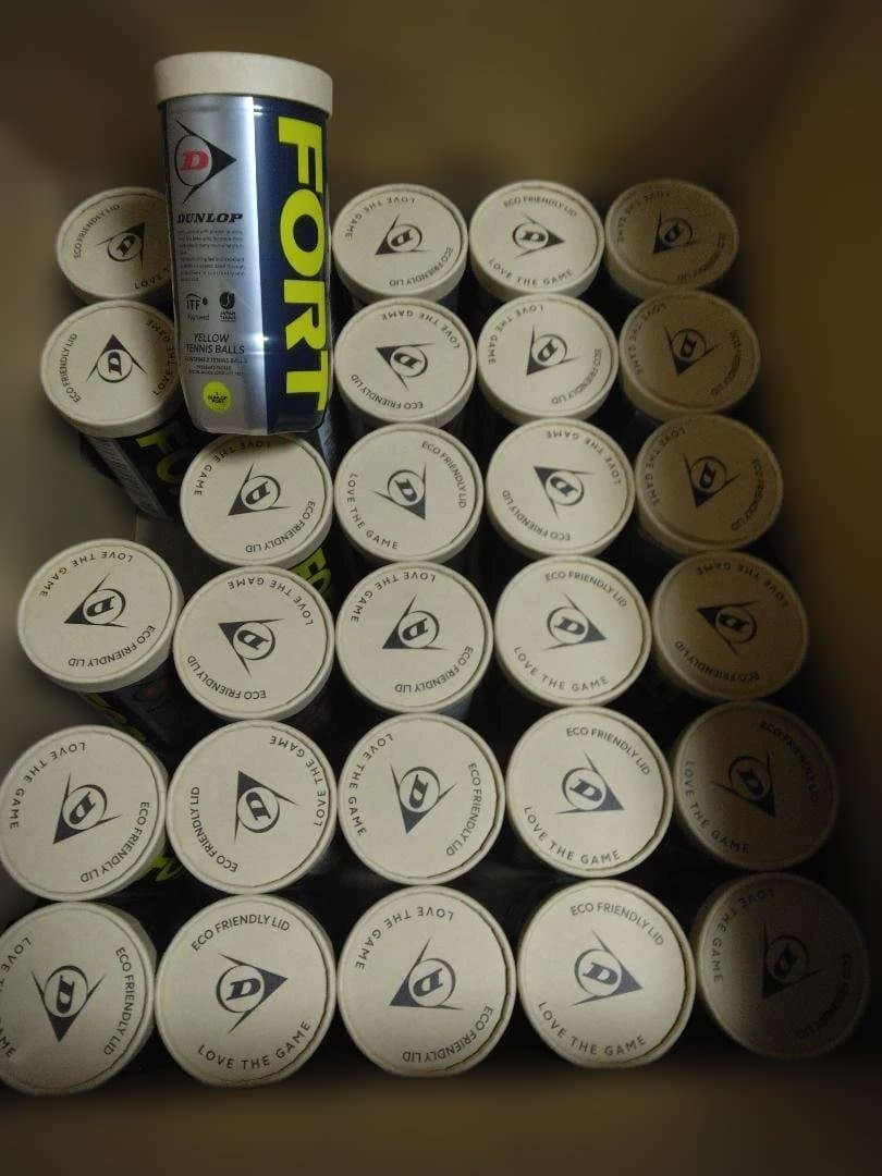 DUNLOPダンロップFORT硬式テニスボール2個入30缶計60球