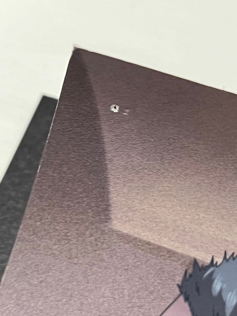 マキシマムザホルモン　カレンダー　まとめ売り