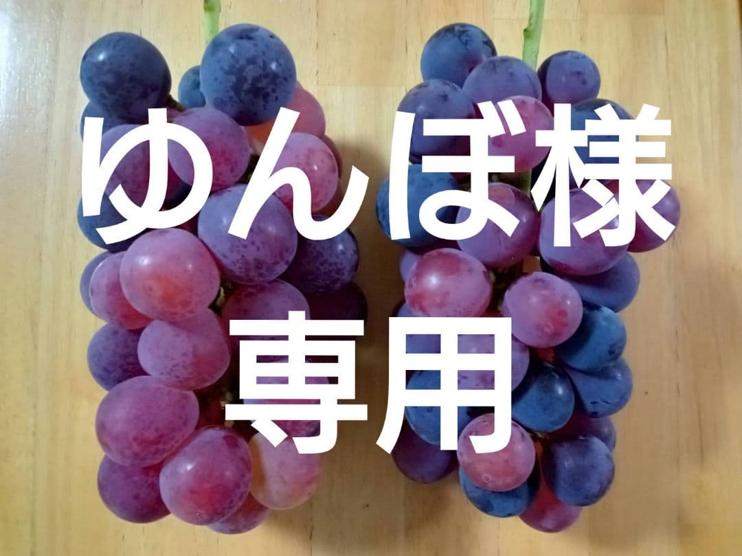 加工用 ぶどう 高妻 ピオーネ 粒 6kg 6キロ