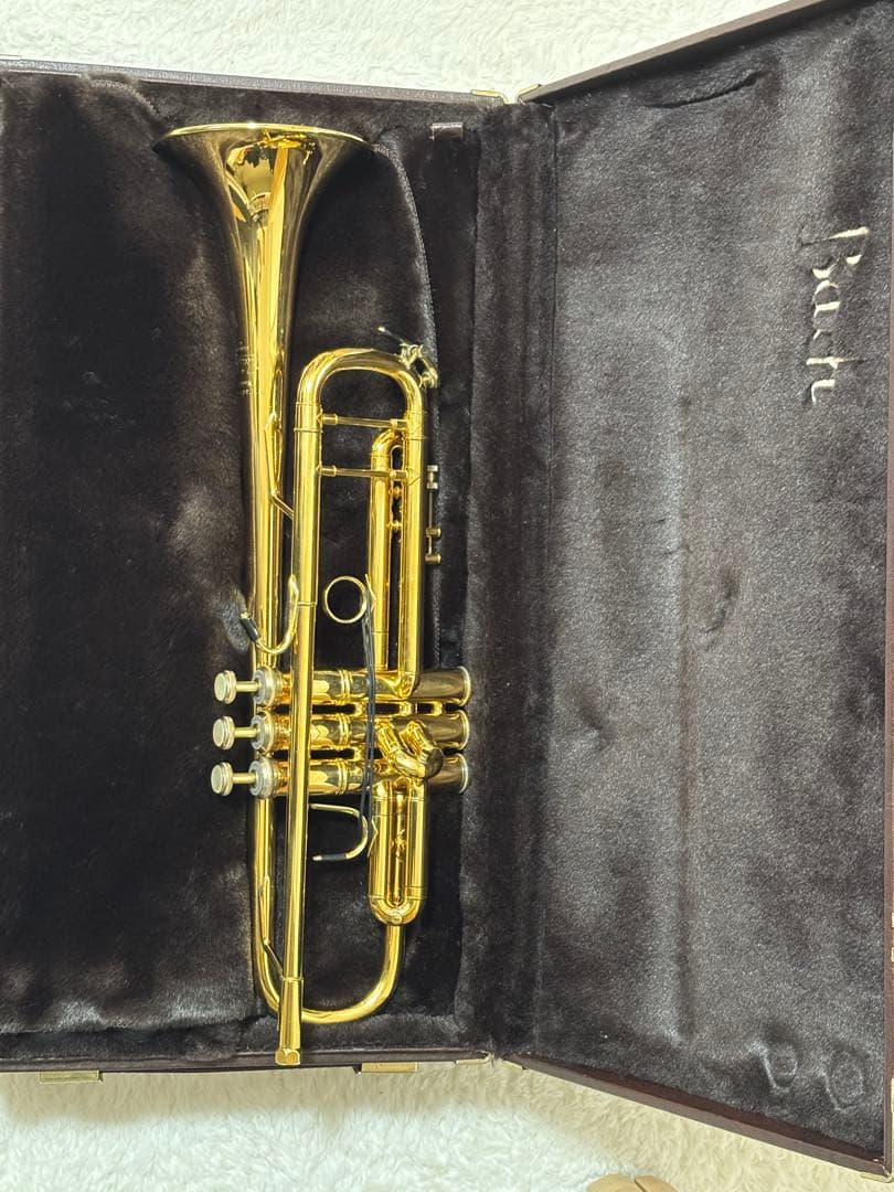 Bach LT180ML37⭐︎GP