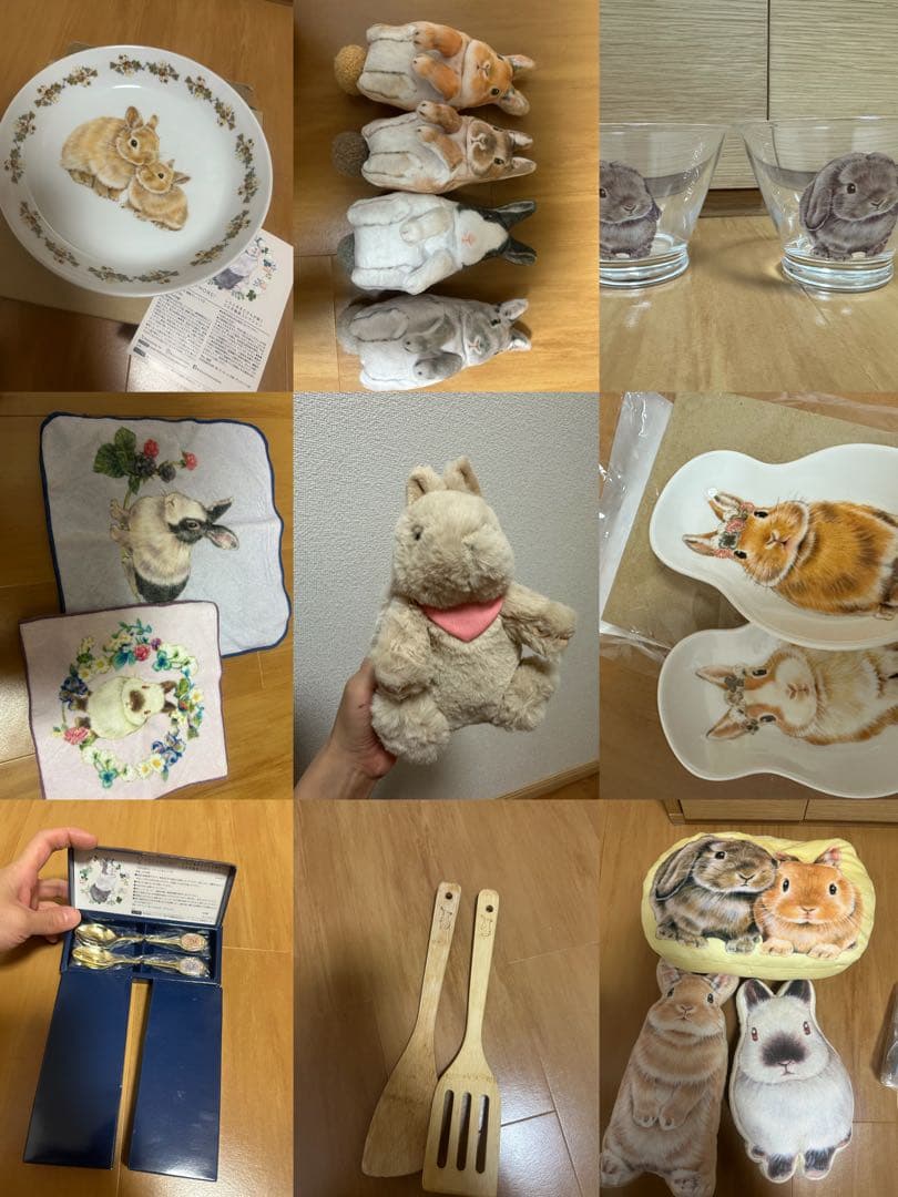 しらとあきこ⭐︎写真全部セット