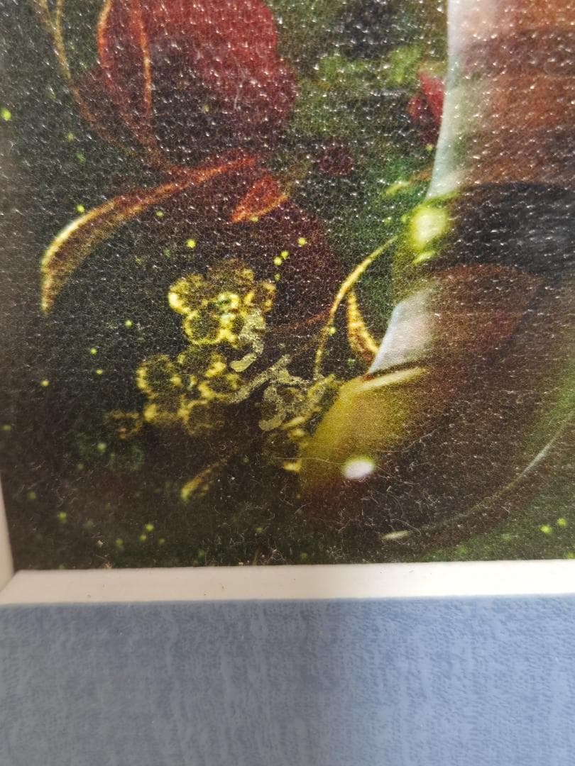 直筆サイン　裏面サイン　Shu　シュウ　ファーストアリス　ジークレー　5/50