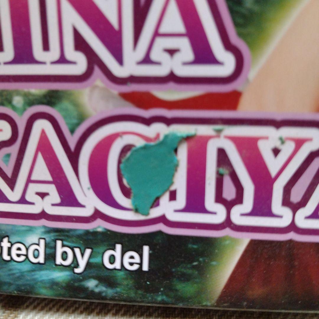 未開封　東方Project　鍵山雛　グリフォンエンタープライズ