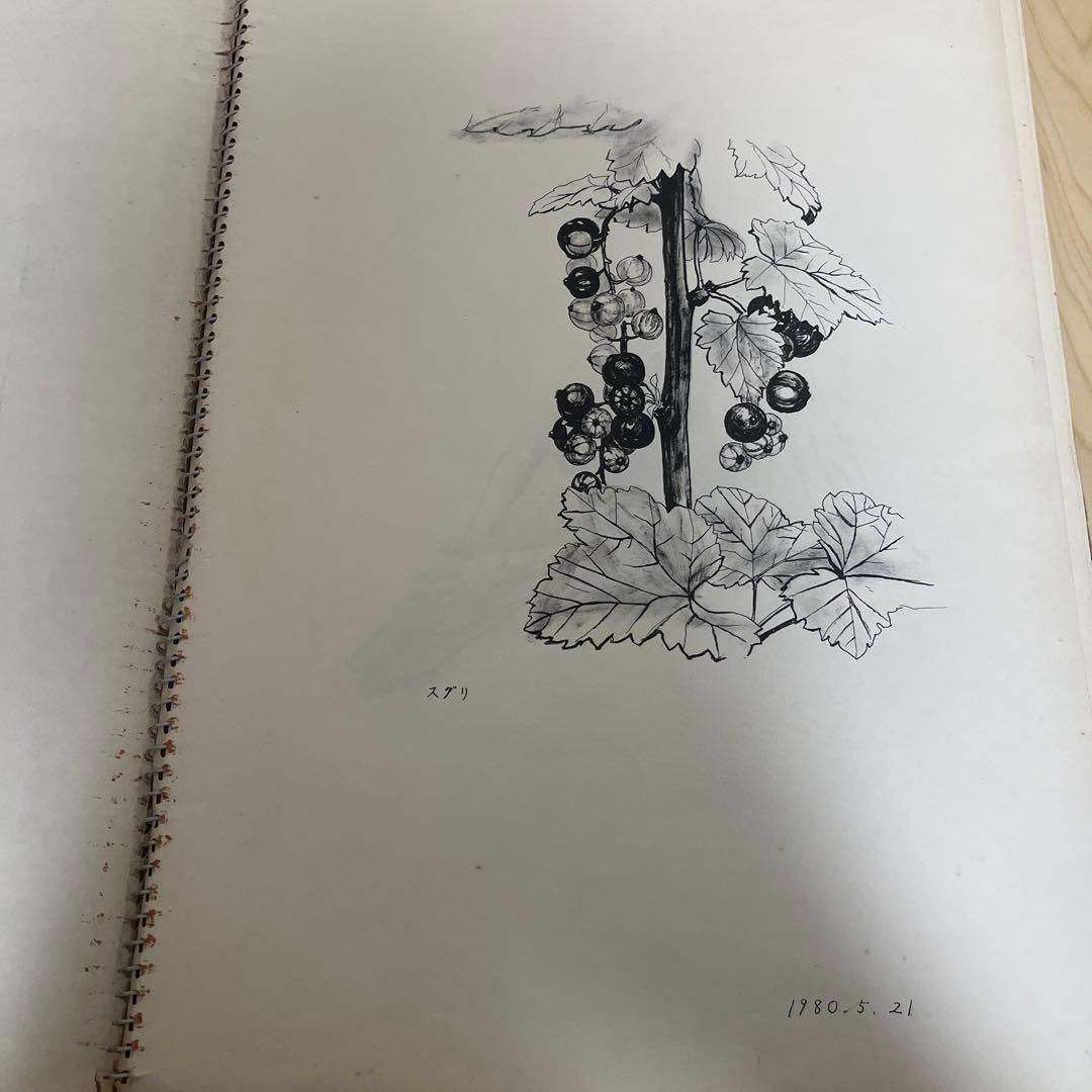 1980年代 絵画コレクション