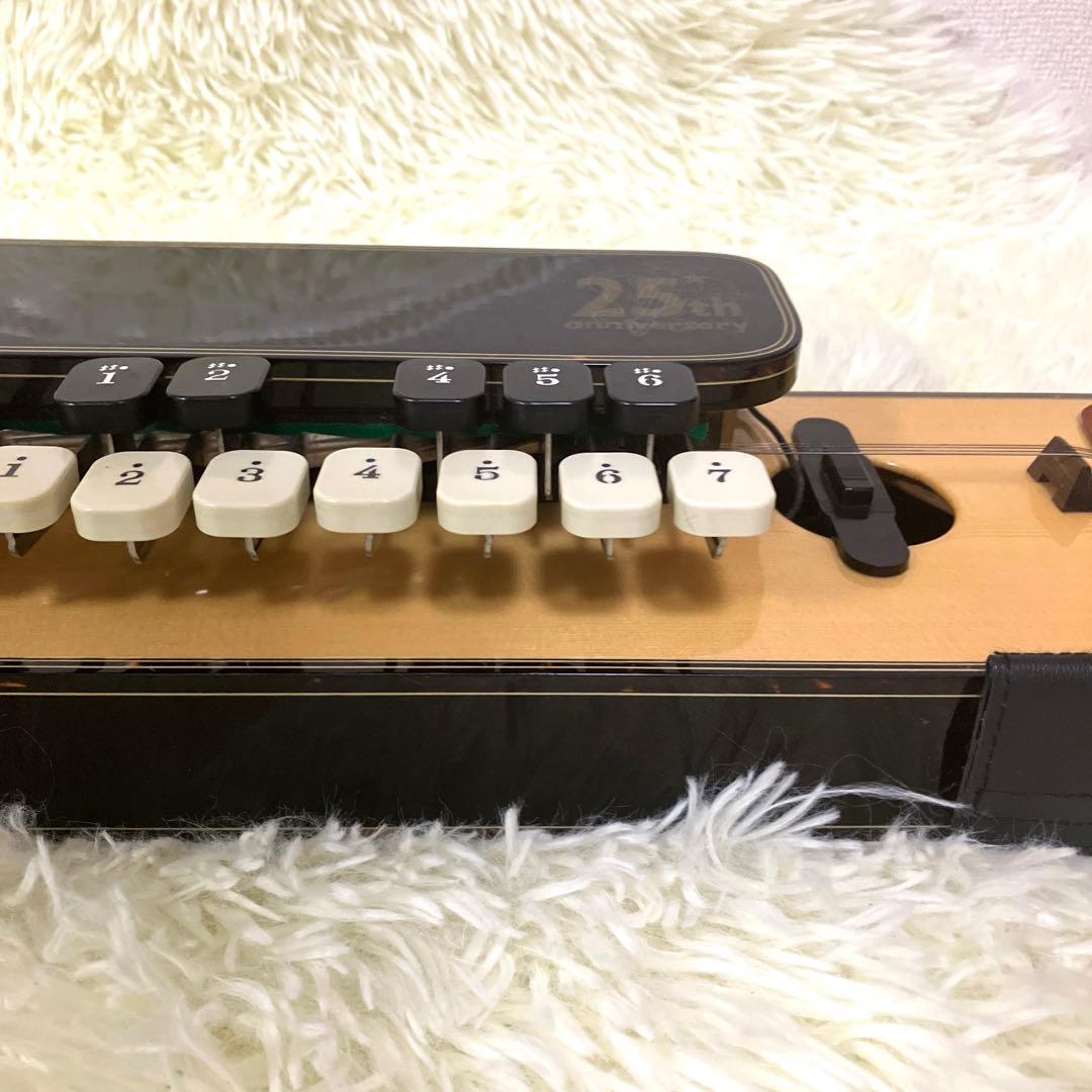 高級大正琴 ライリッシュ LSS25TH Lyrissh ソフトケース 和楽器