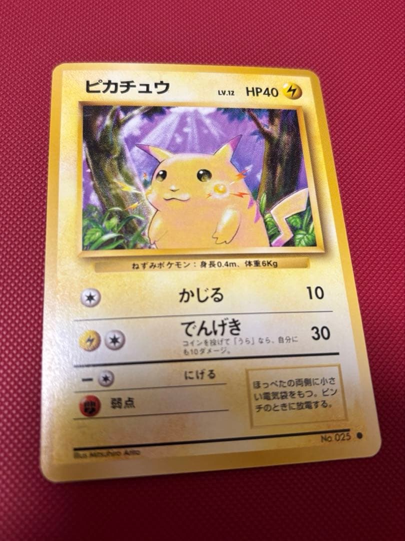 ピカチュウ かじる