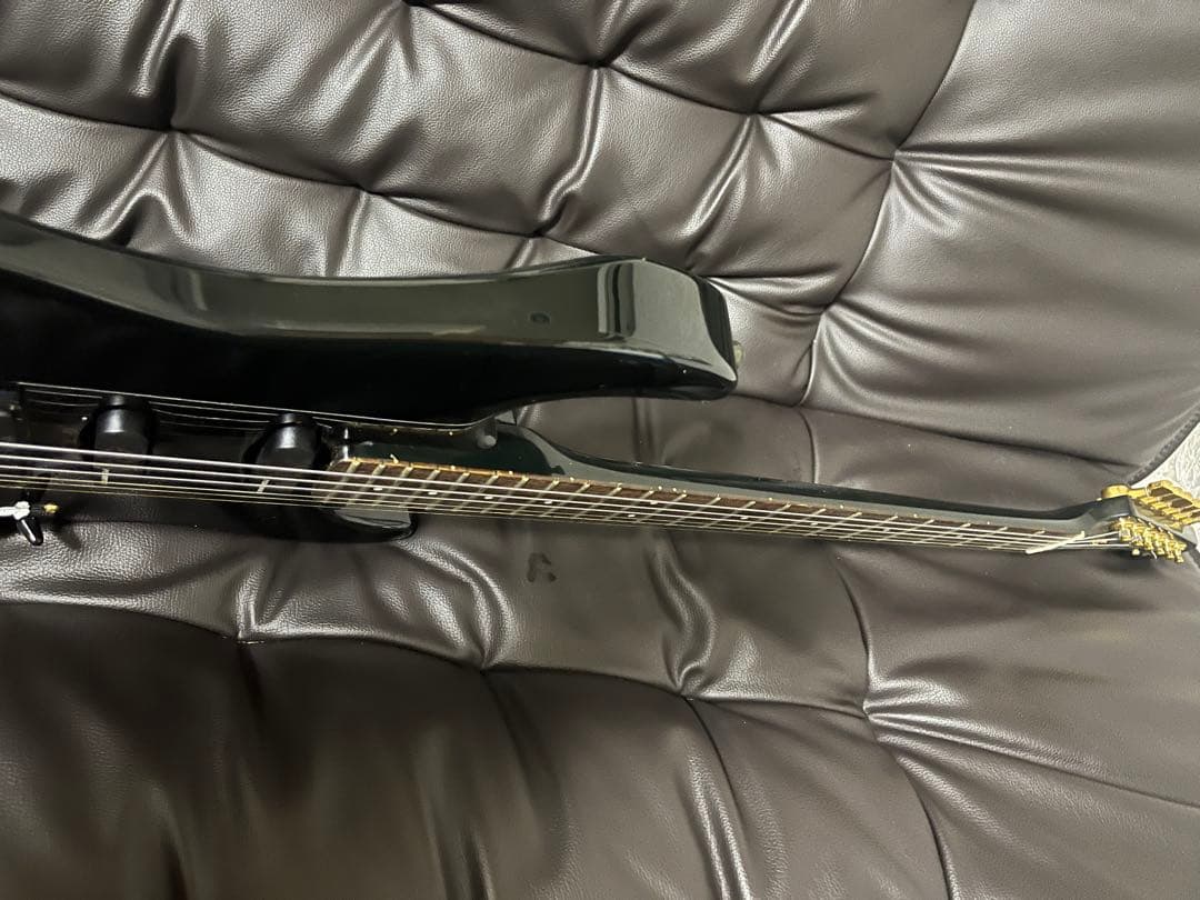 FERNANDES the function フェルナンデスギター　エレキギター