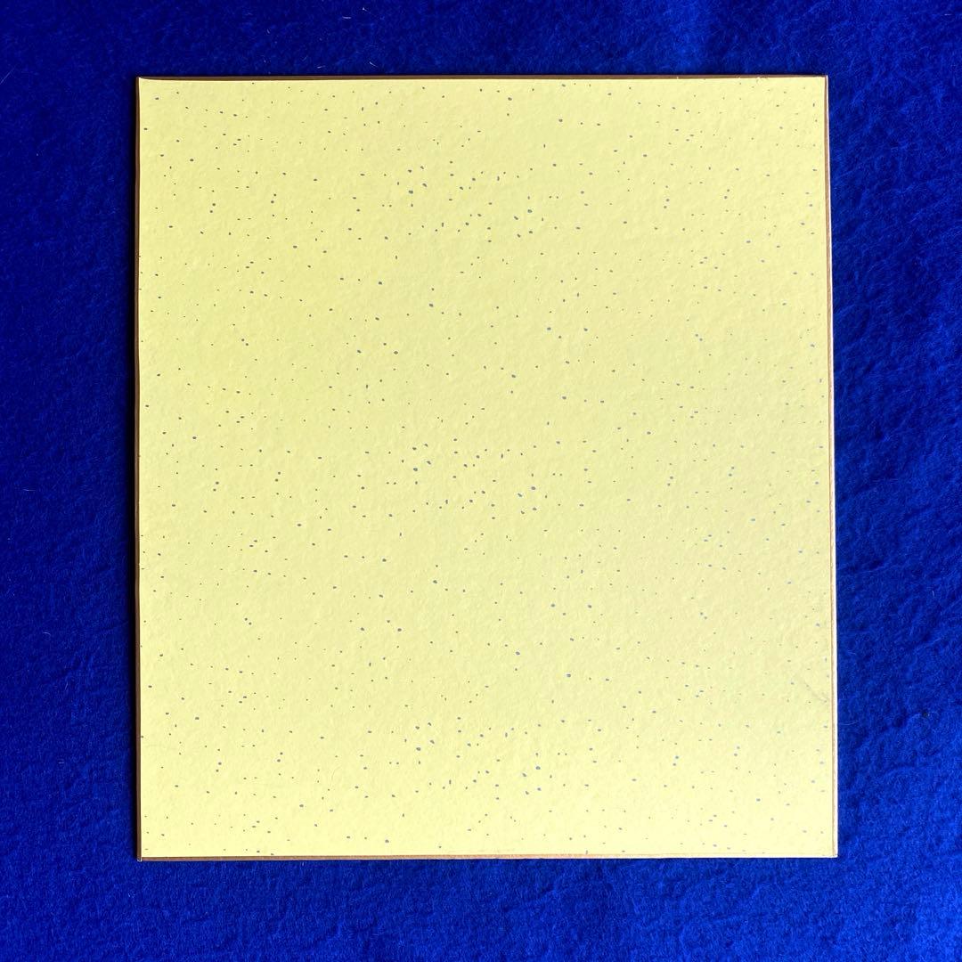 浜崎あゆみ　直筆サイン　色紙　ayu 写真付