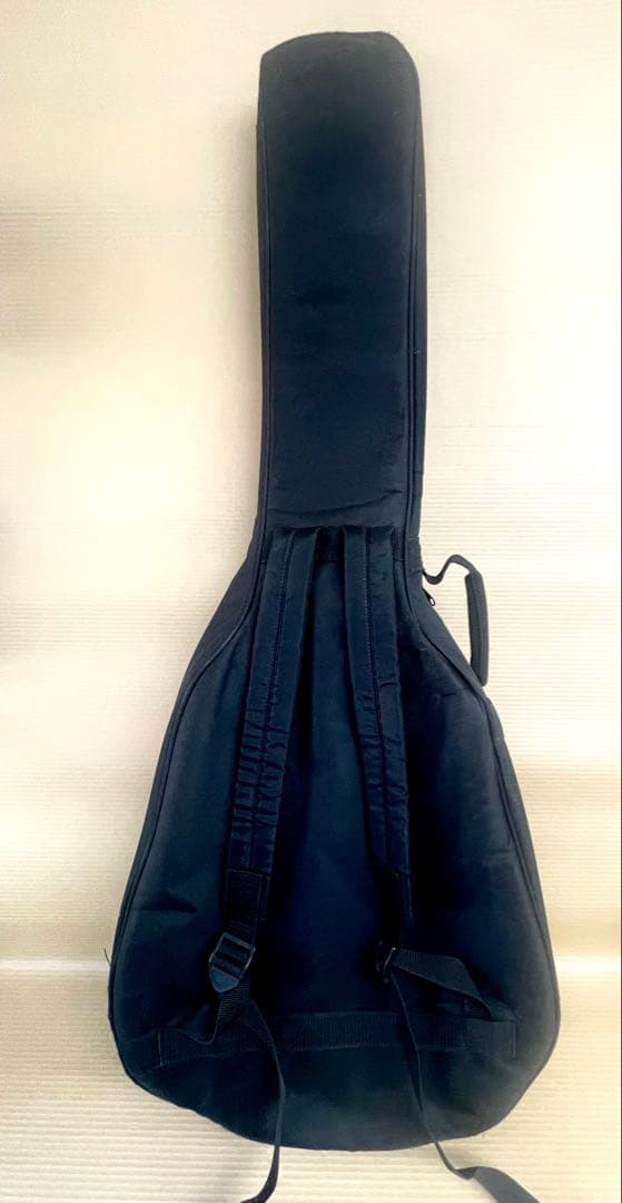 Ibanez トレモロ付きフルアコ　AFS75T-TRD-12-05