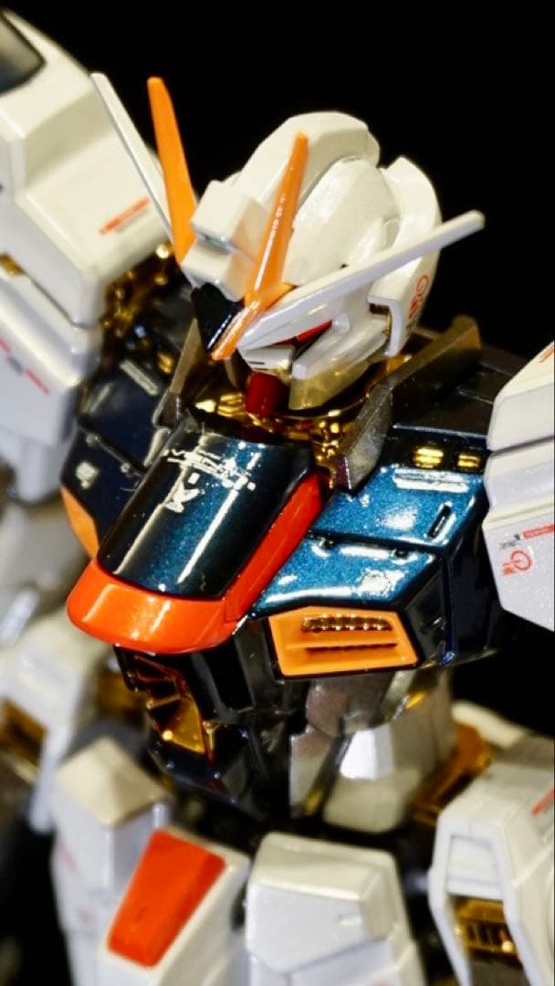 ※正月特価　全塗装RGストライクフリーダム　チタニウムフィニッシュ　ガンプラ