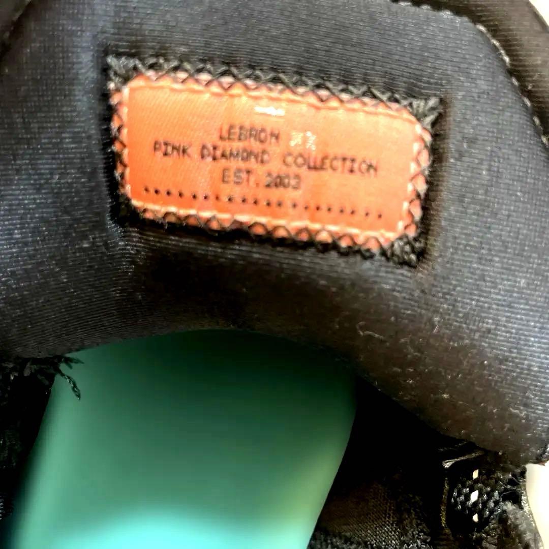 【美品/Sランク】NIKE レブロン20 26cm ブラック×レッド バッシュ