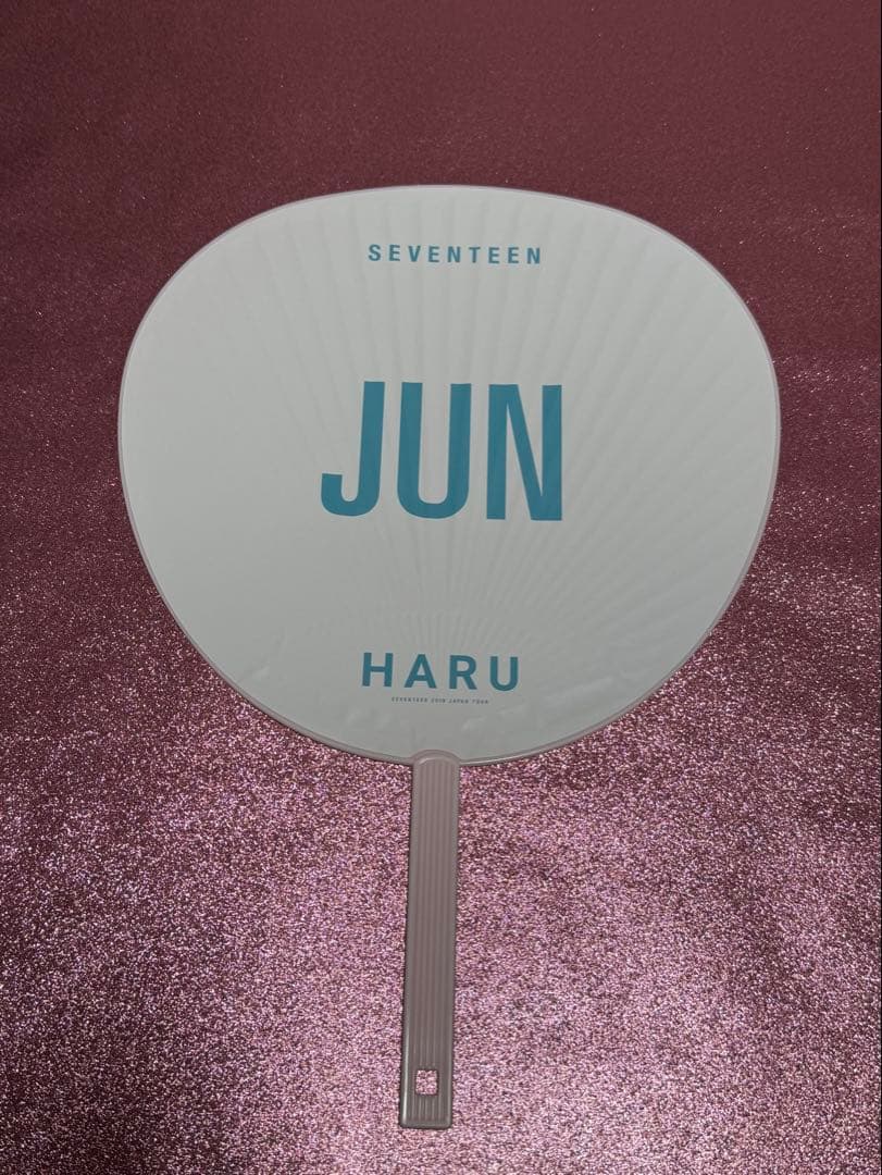 ジュン うちわ 9枚セット