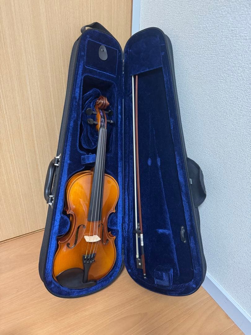 HORA Reghin 4/4 Romania 2019 バイオリン