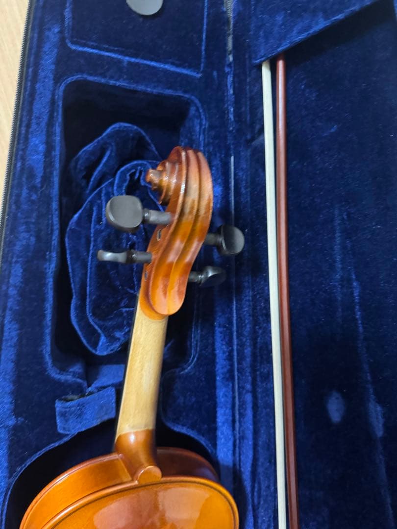 HORA Reghin 4/4 Romania 2019 バイオリン