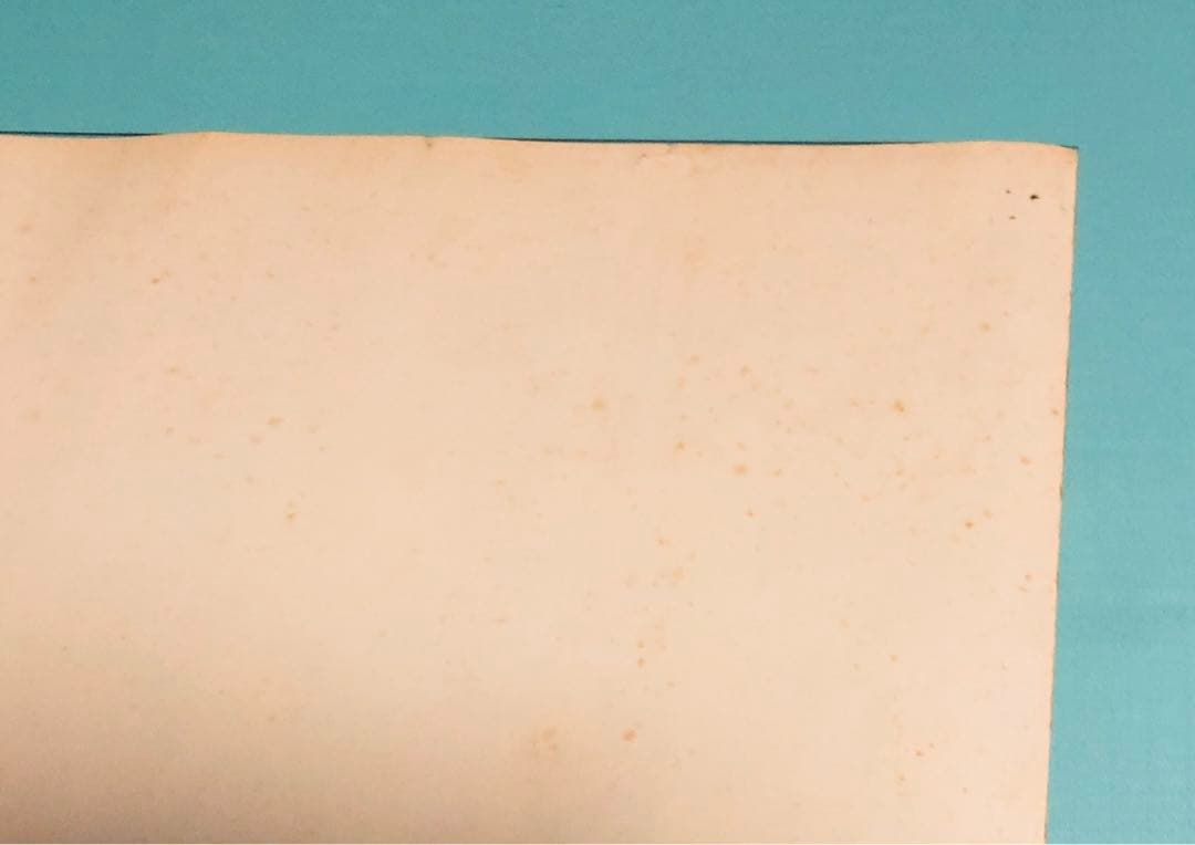 SCORPIONS 1978年初来日公演 645㎜×515㎜サイズ