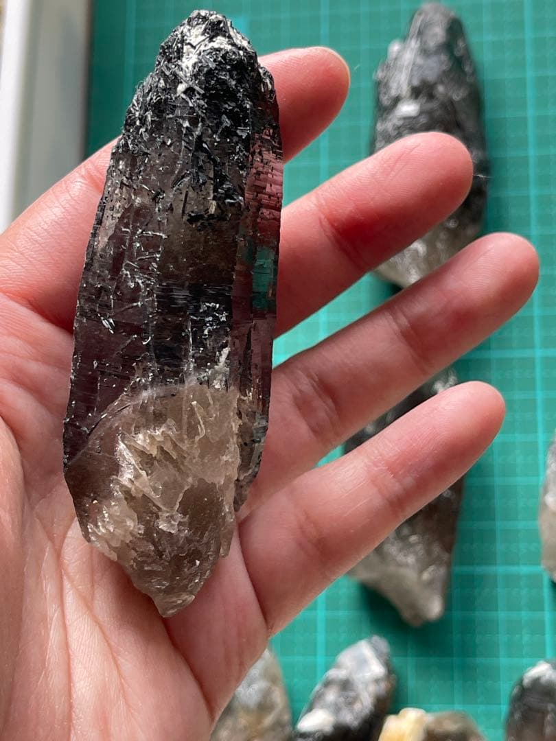 青い石様セット