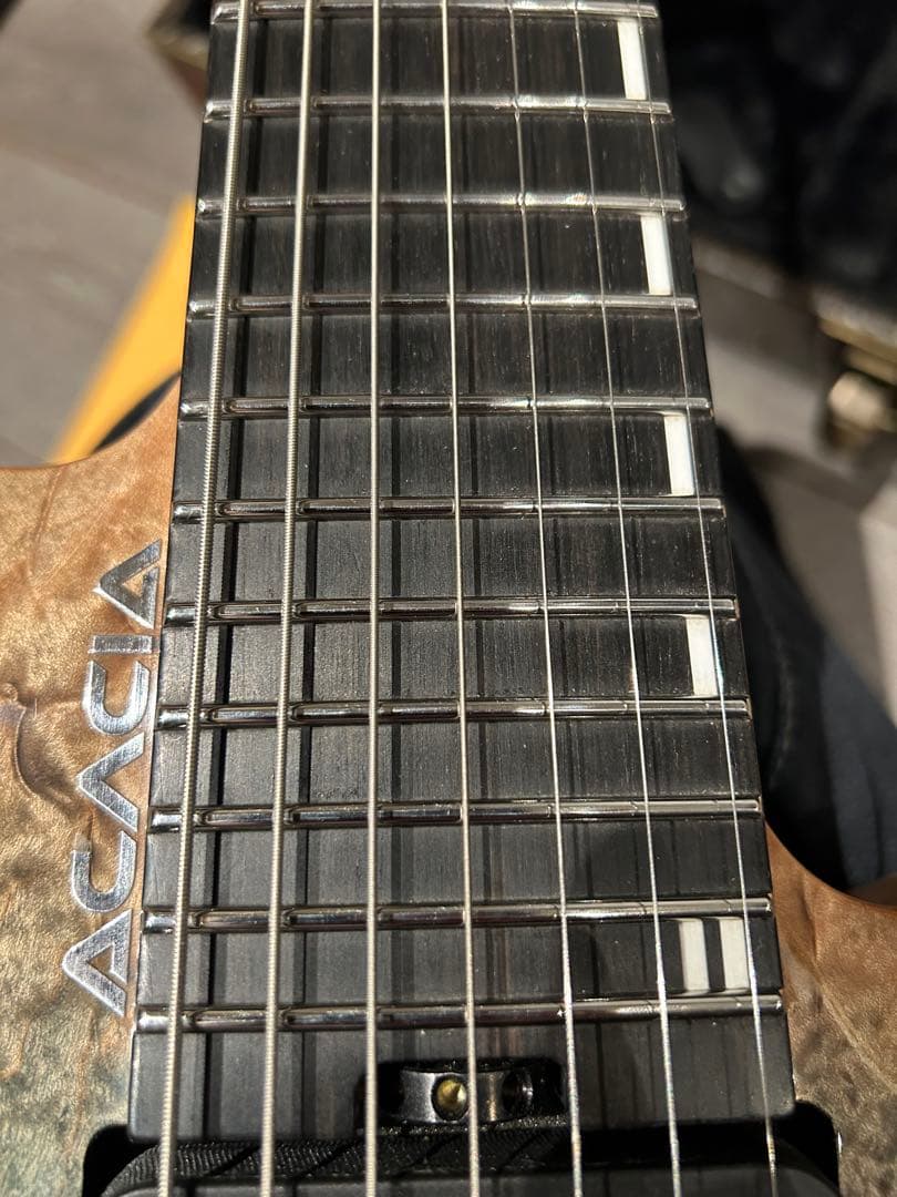 Acacia guitars MEDUSA 7弦ヘッドレス