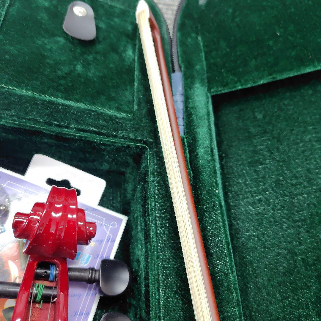 【美品】ハルシュタット エレキバイオリン