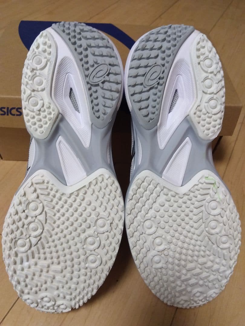 【オムニ・クレー】アシックス　ソリューションスピードFF3　25cm