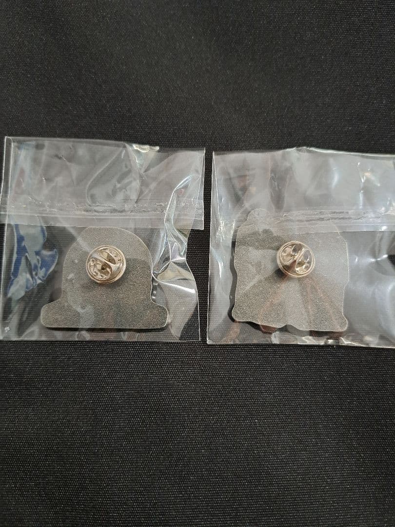 希少　TM NETWORK ４０周年ピンバッジ　ガチャ　２個セット