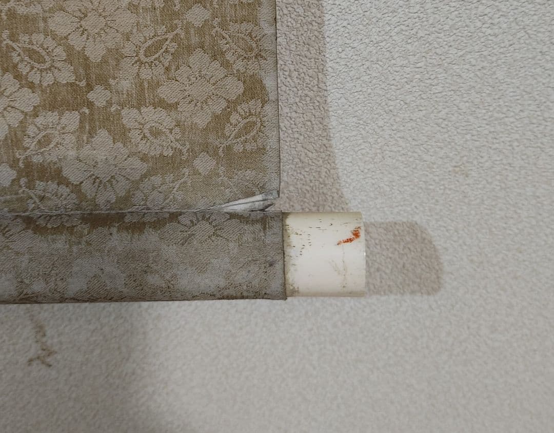 中村左洲　申の図　掛け軸