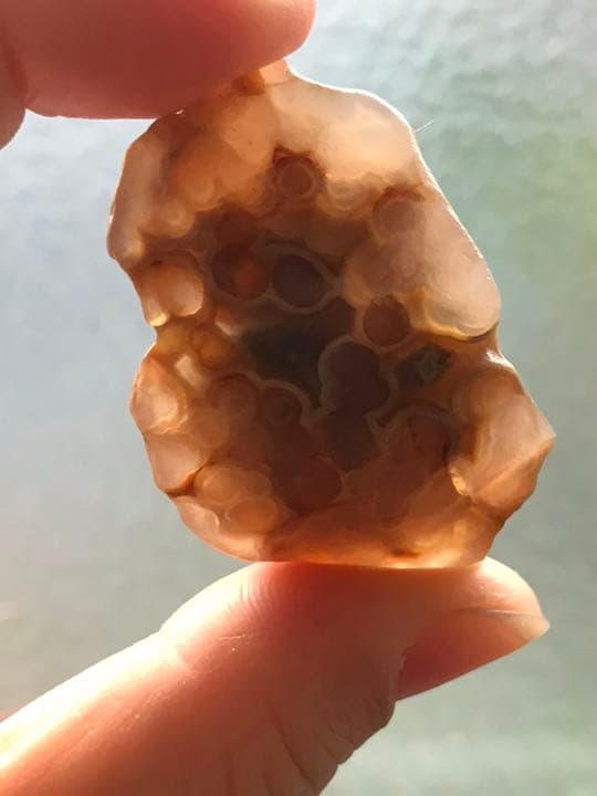 ゴビ石−111 ゴビ瑪瑙 花眼　蜂の巣　原石