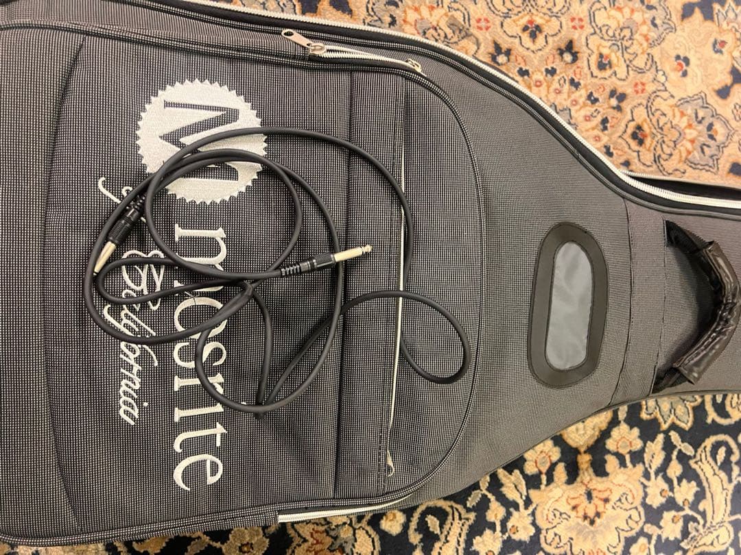 Aria Pro2 Magna Series エレキギター モスティテケース付き