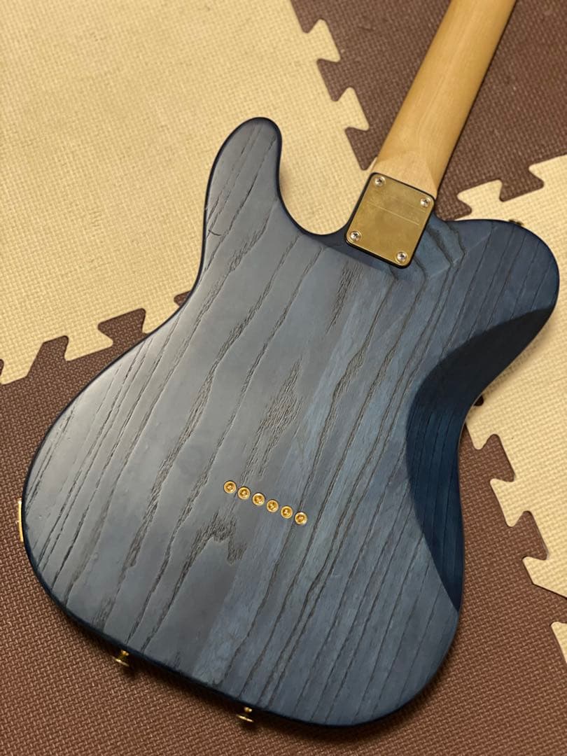 ギター SCHECTER / JAPAN / PS-PT-SP/PBT/R