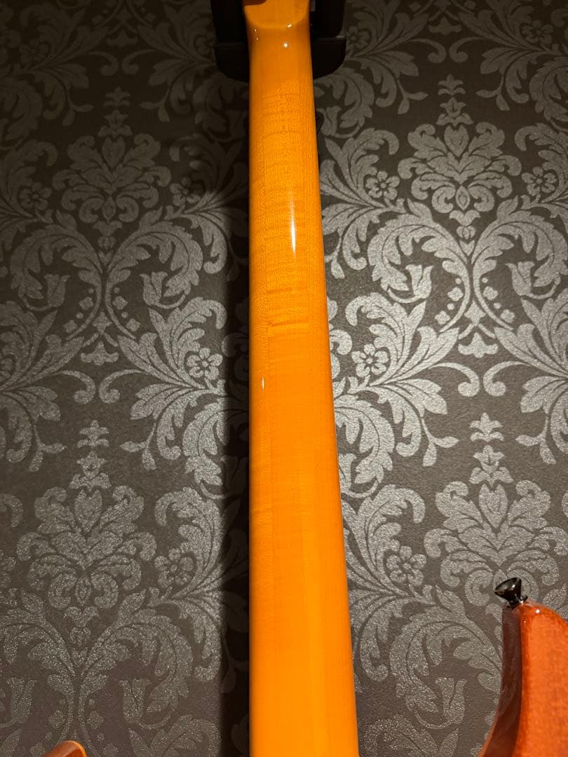 ESP ホライゾンギター　ハードケース付き