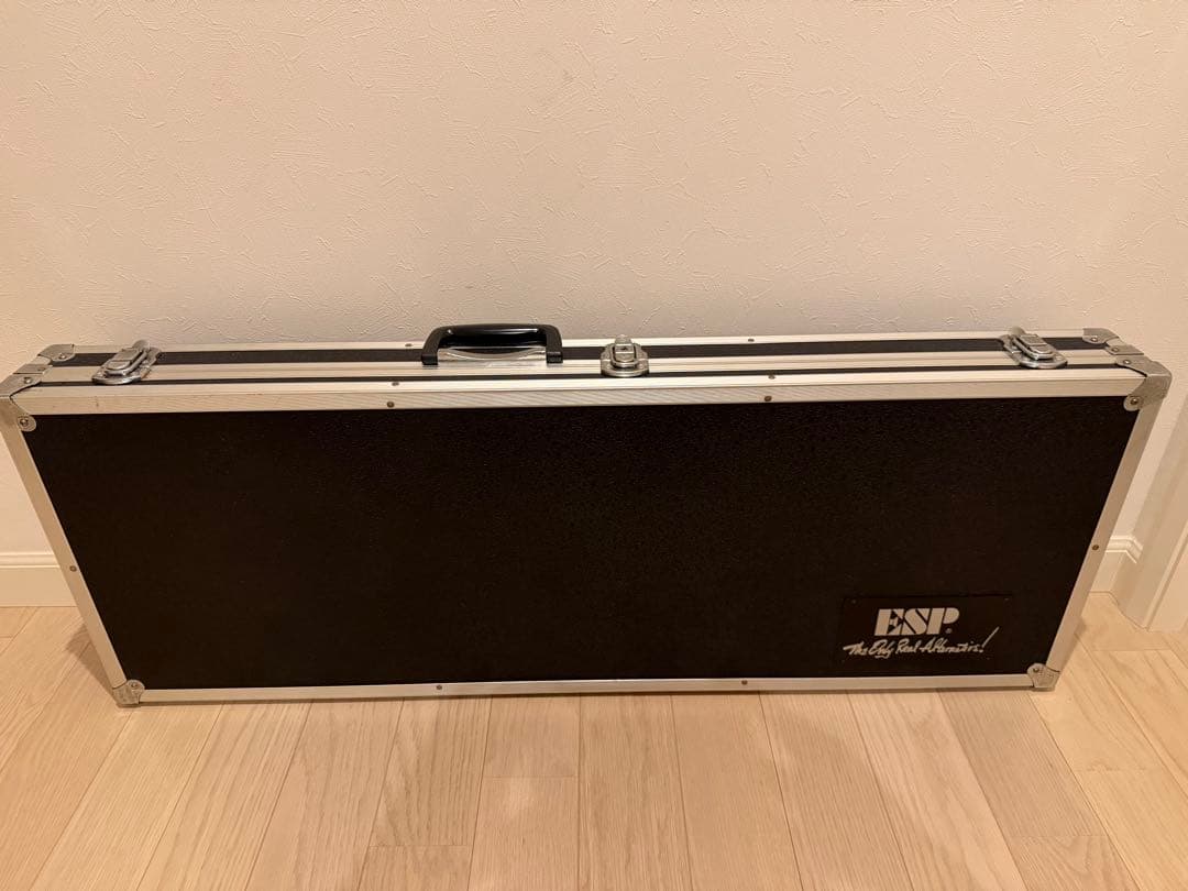 ESP ホライゾンギター　ハードケース付き