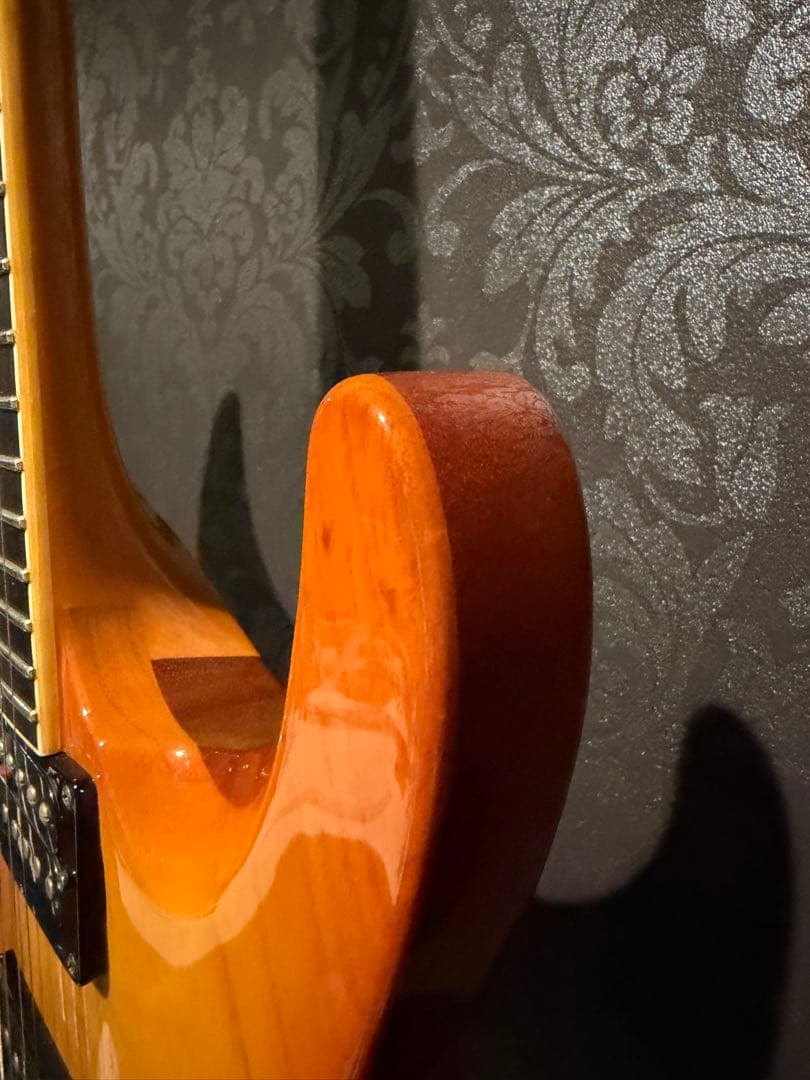 ESP ホライゾンギター　ハードケース付き