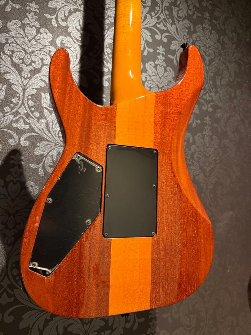 ESP ホライゾンギター　ハードケース付き