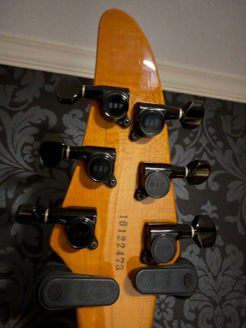 ESP ホライゾンギター　ハードケース付き