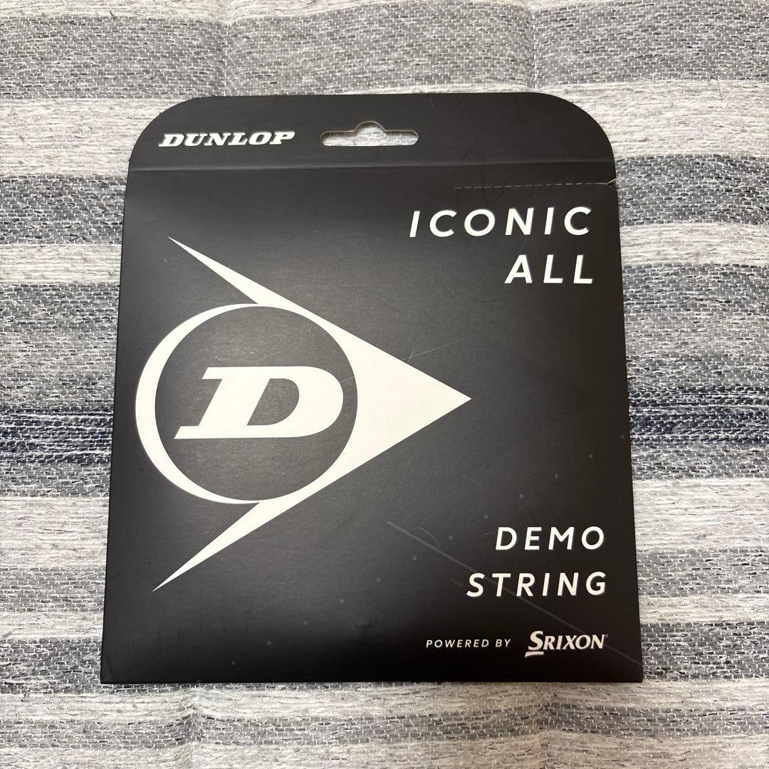 【最終価格】DUNLOP SX300 グリップサイズ2