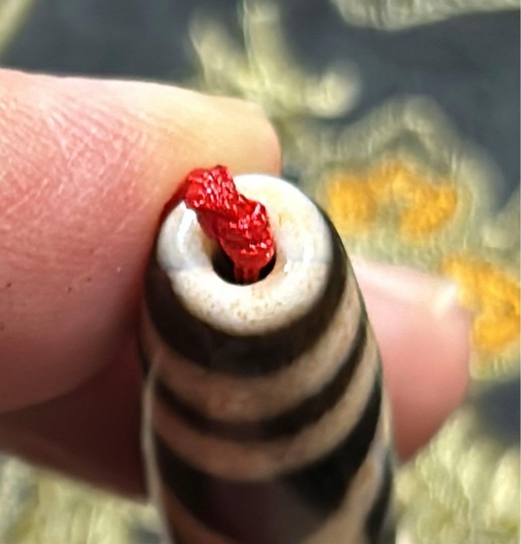 大鵬鳥天珠　朱砂　老天珠　台湾至純天珠／送料込　匿名発送／チベット　天珠　お守り